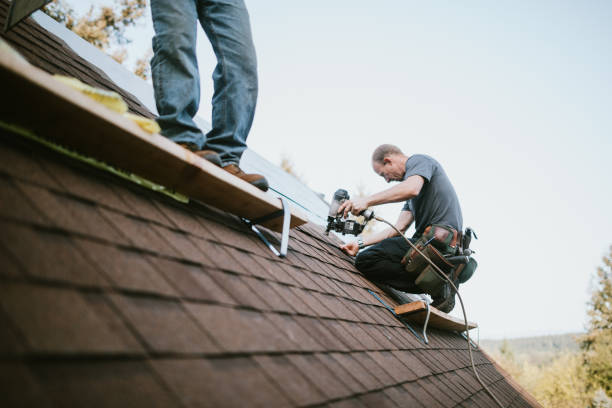 Best Shingle Roofing Installation  in Bellevue, IL